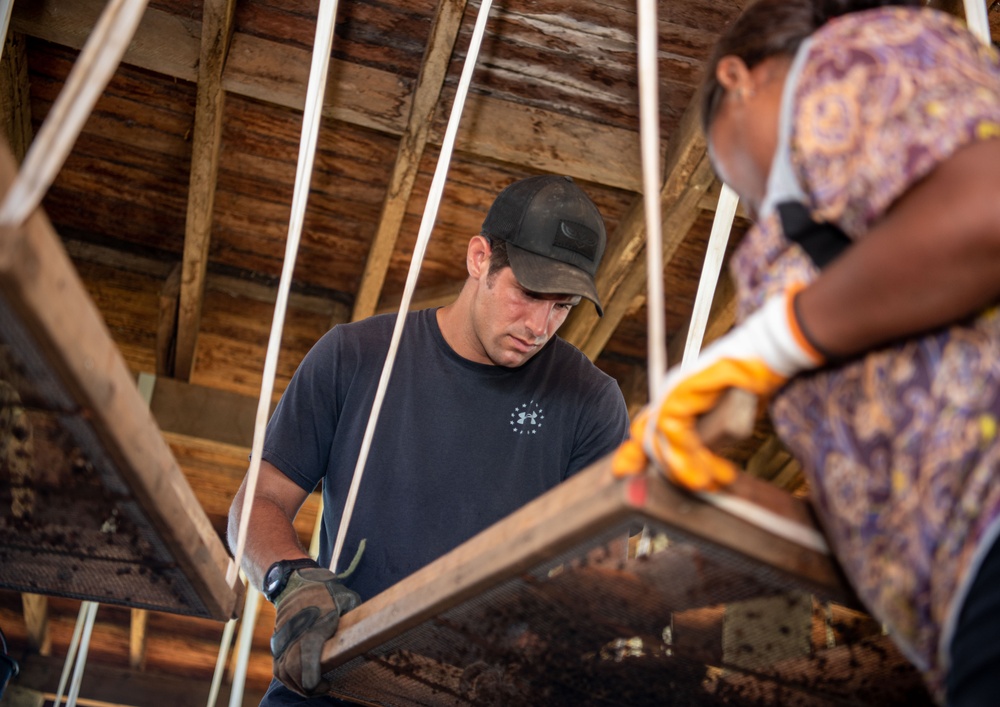 DPAA Service members work tirelessly in the Solomon Islands