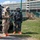 Civil Support Teams Conduct Field Training Exercise For the Kentucky Derby