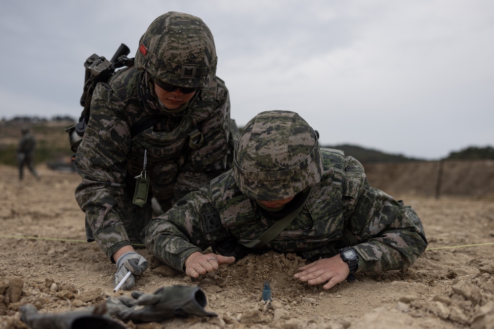 US and ROK Marines Set Up an Obstacle Belt