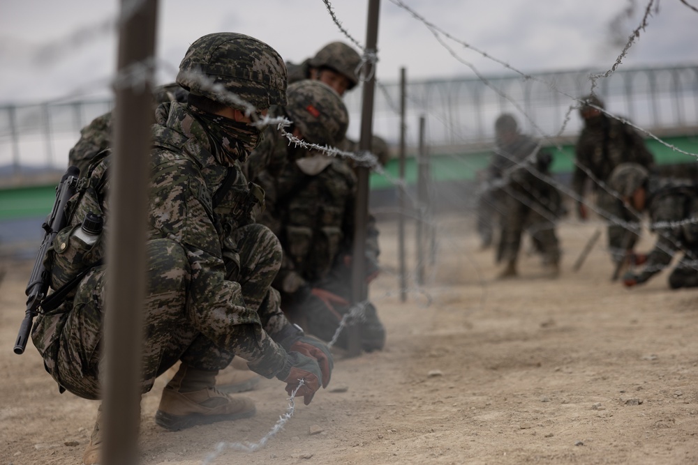 US and ROK Marines Set Up an Obstacle Belt