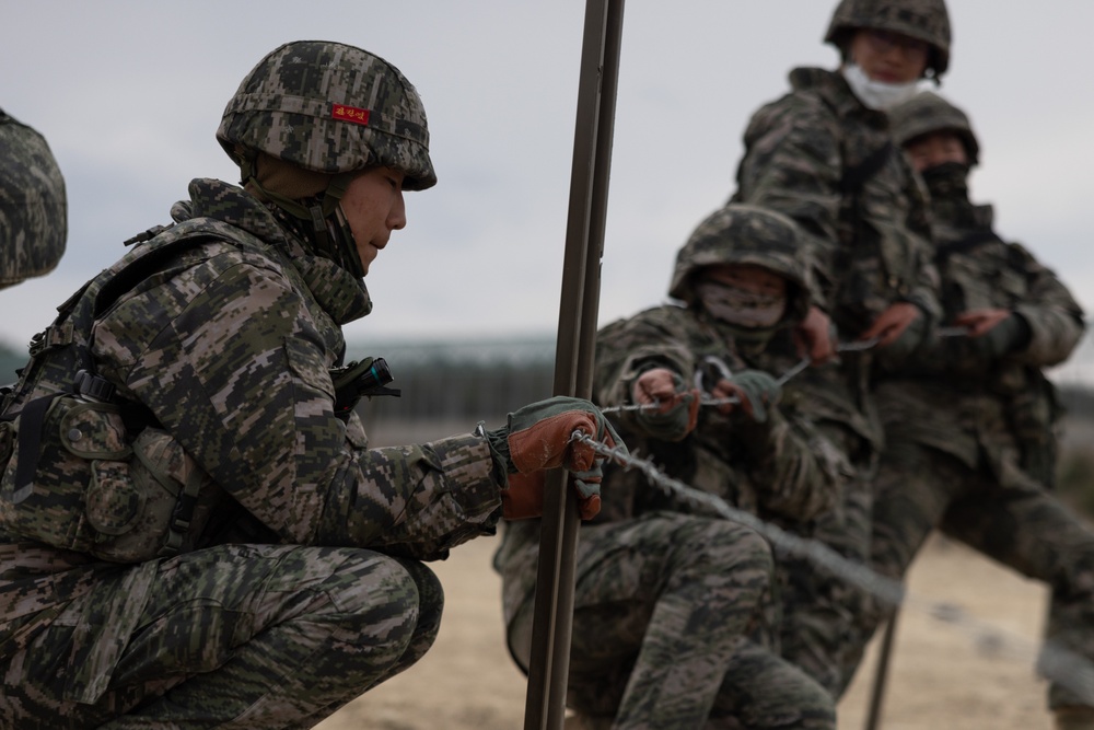 US and ROK Marines Set Up an Obstacle Belt