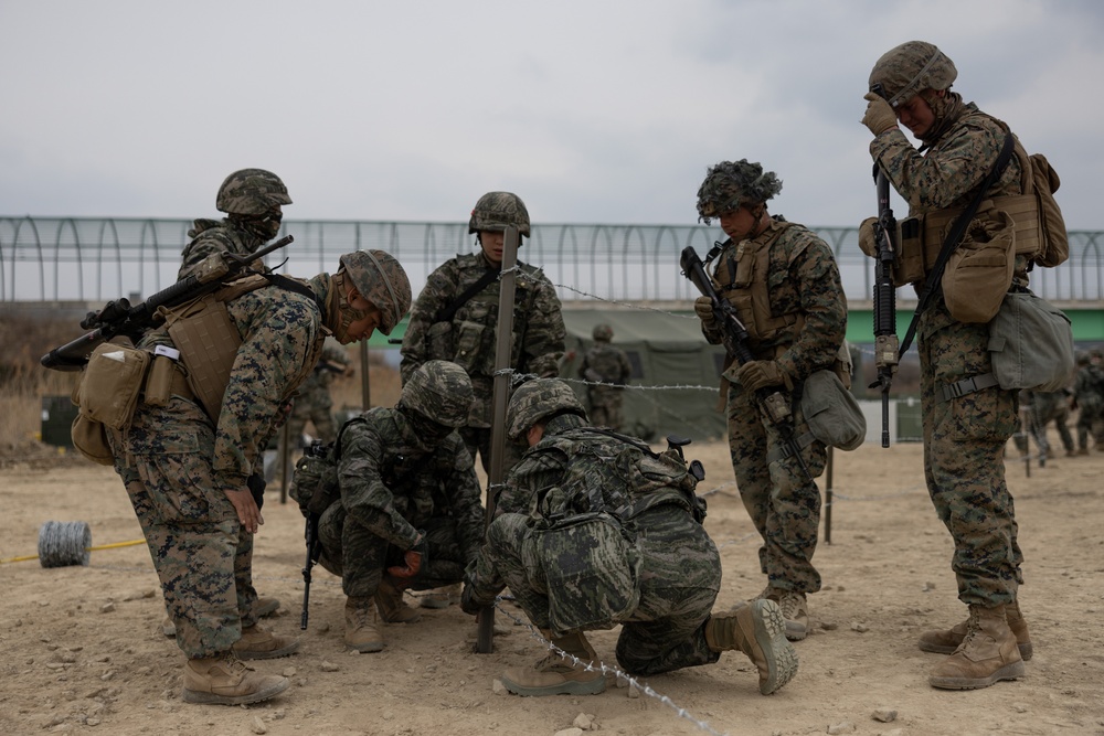 US and ROK Marines Set Up an Obstacle Belt