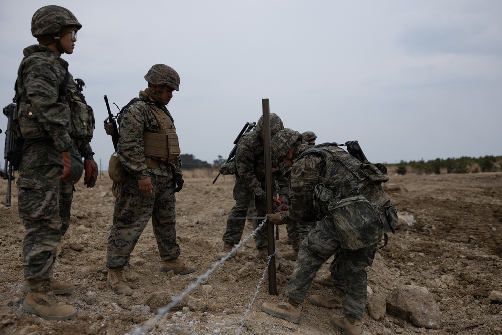 US and ROK Marines Set Up an Obstacle Belt