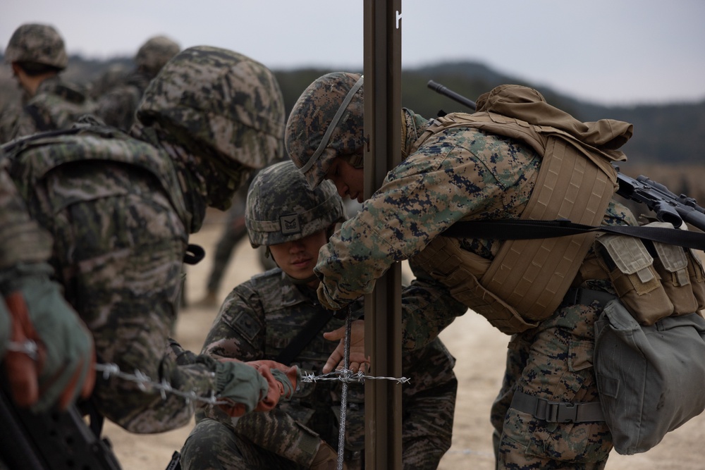 US and ROK Marines Set Up an Obstacle Belt