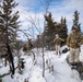 11th Airborne Division Soldiers test skis during JPMRC-AK 23-02