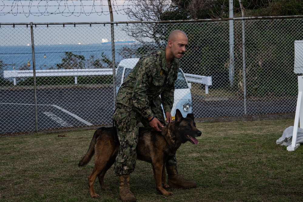 CFAY Military Working Dog Training