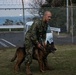 CFAY Military Working Dog Training