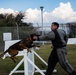 CFAY Military Working Dog Training