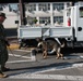 CFAY Military Working Dog Training