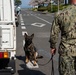 CFAY Military Working Dog Training