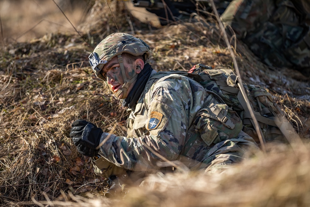 U.K. Royal Lancers Troopers Earn Their Stripes