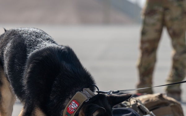 379th EAES Hosts Joint Training Exercise