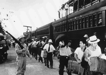 Japanese Latin Americans Brought to the U.S.