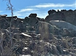 Mobile training team evaluates scout platoon Marines