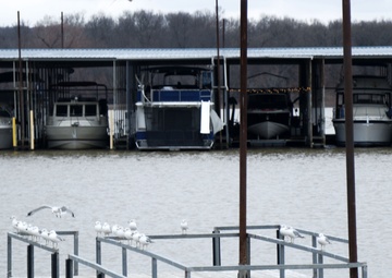 Shoreline management program bridges balance between environment and recreating public