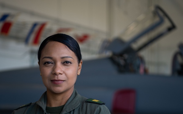 Inter-American Allies