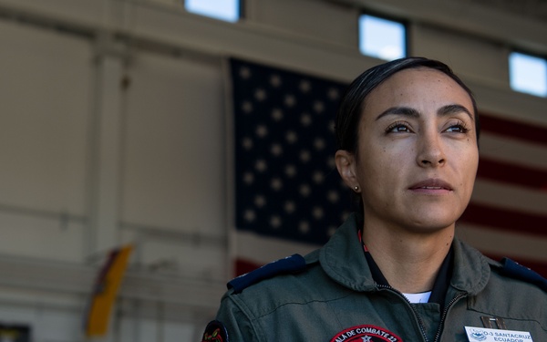 Inter-American Allies