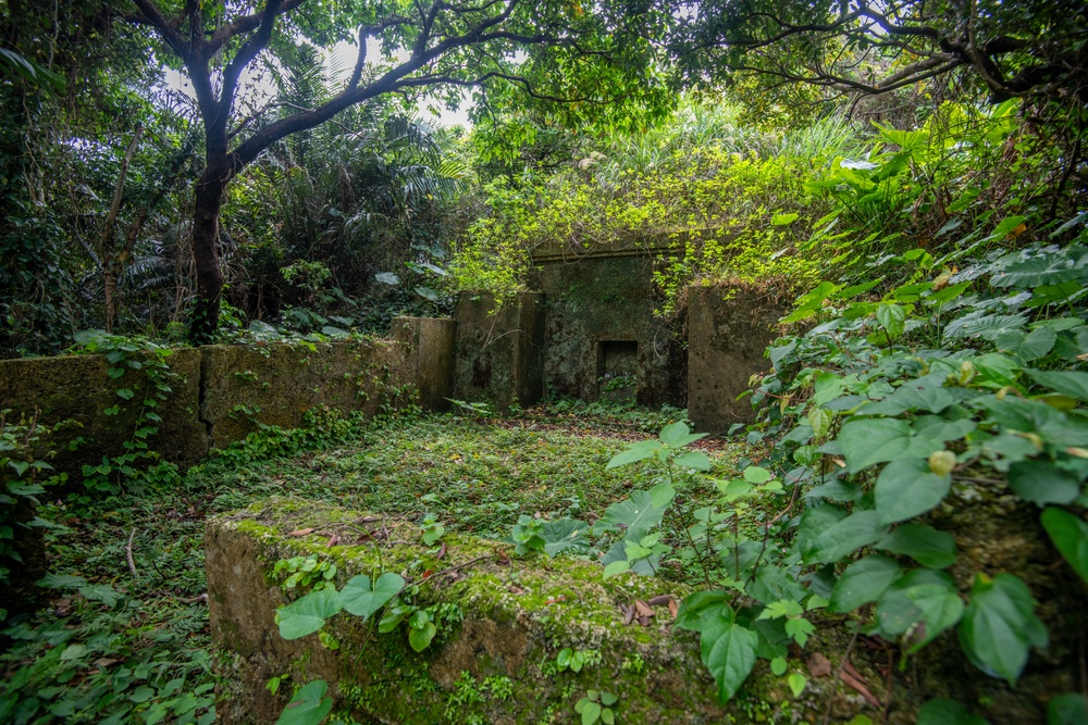 Tomb cleanup at 18MUNS in preparation for Shimi