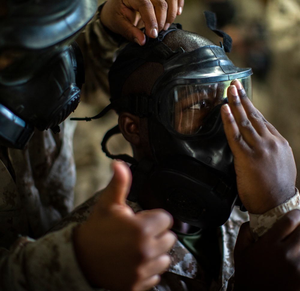 India Company Gas Chamber