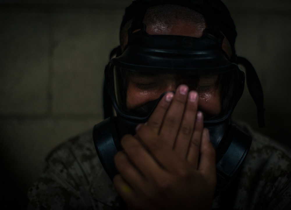 India Company Gas Chamber