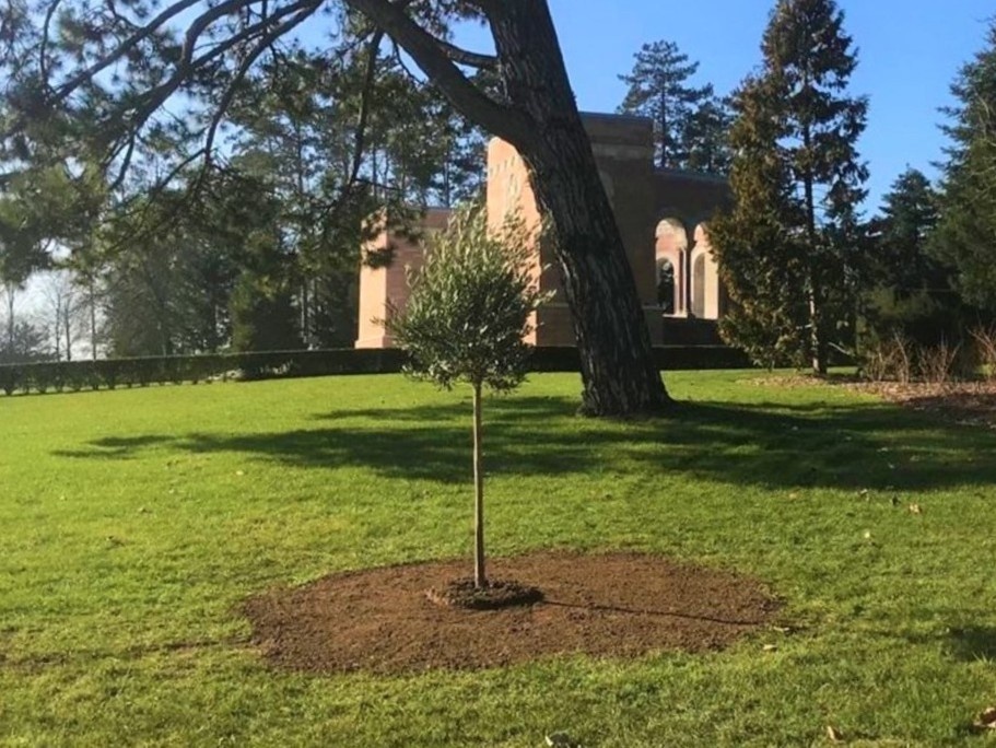 ABMC adds to cemetery landscapes in honor of centennial