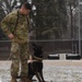 Military Working Dog stands cybersecurity duty on DoD Global Directory login page