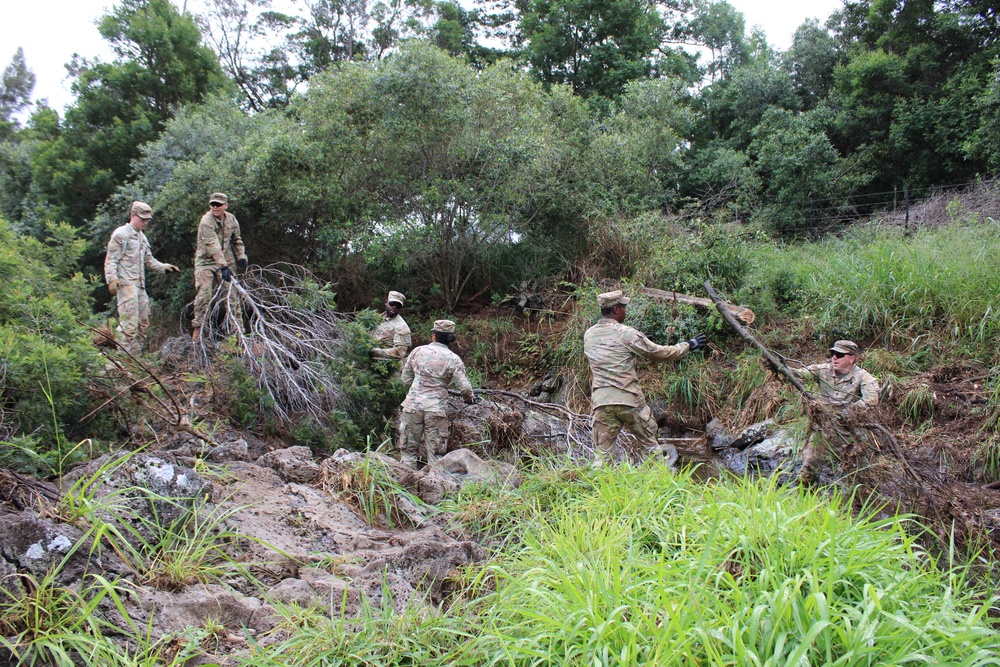 Waimea Trails Cleanup 2APR23