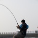 Harbor opens for recreational fishing