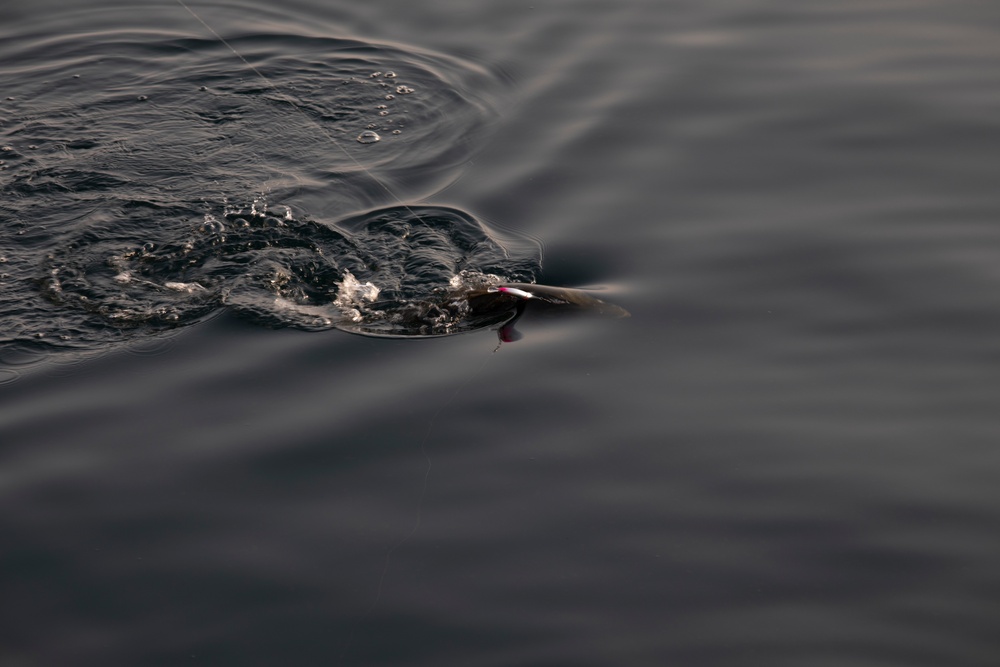 Harbor opens for recreational fishing