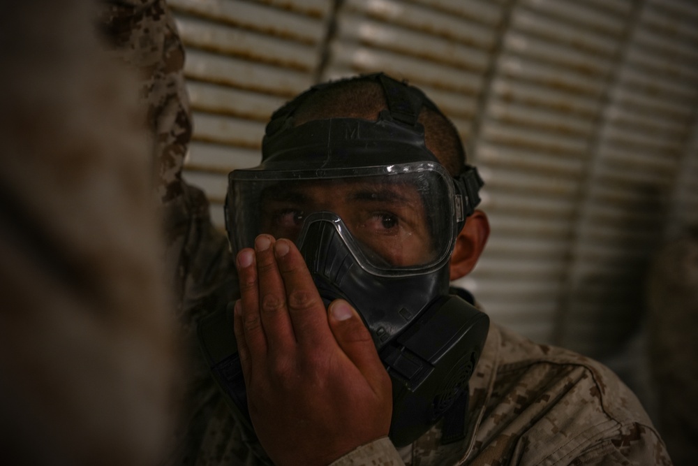 Fox Company Confidence Chamber