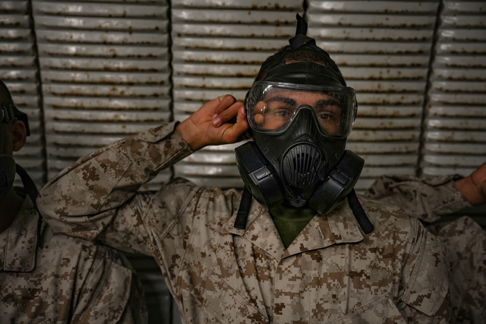 DVIDS - Images - Fox Company Confidence Chamber [Image 13 of 19]