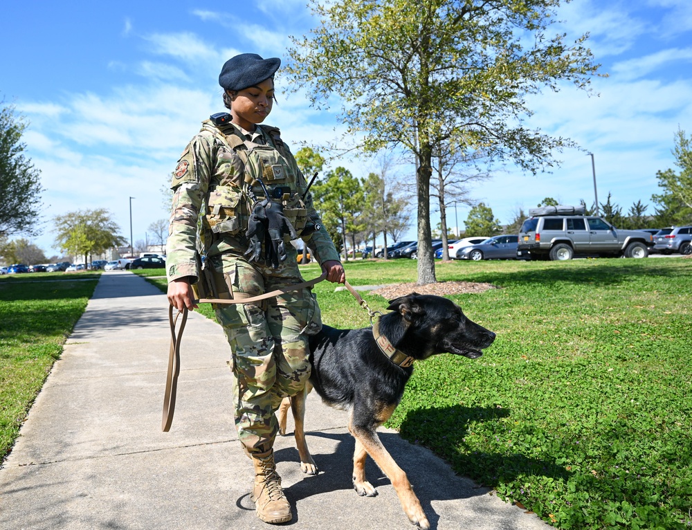 633d SFS Women Defenders rising up