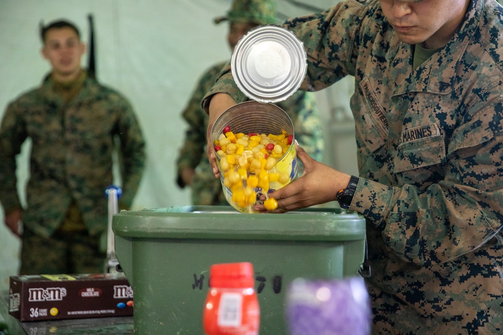 Putting in Work: Marine Wing Support Squadron 171 completes Kamoshika Wrath 23.5