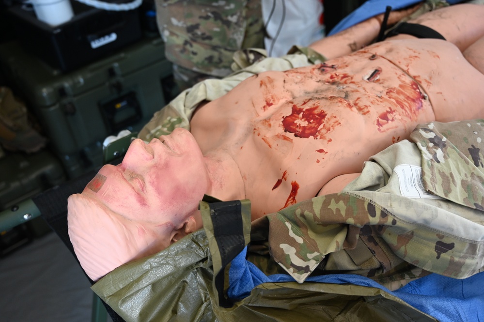 Army Medical Readiness Development in focus during Capability Days