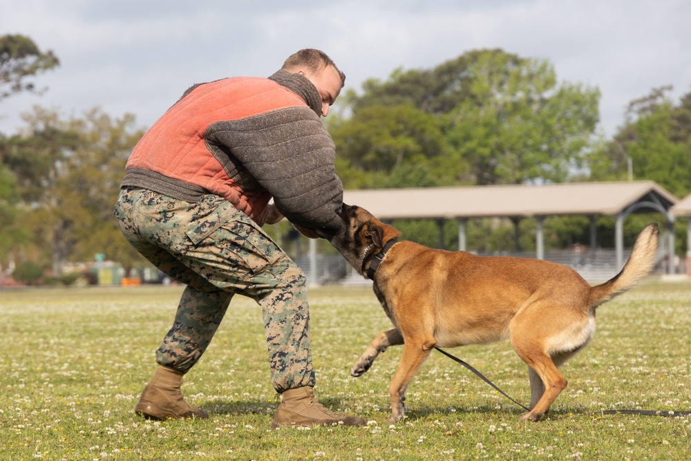 2nd Supply Battalion Hosts Family Day