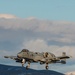 Idaho's A-10 Warthogs landing
