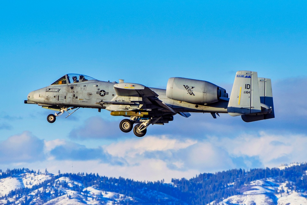 Idaho's A-10 Warthogs landing