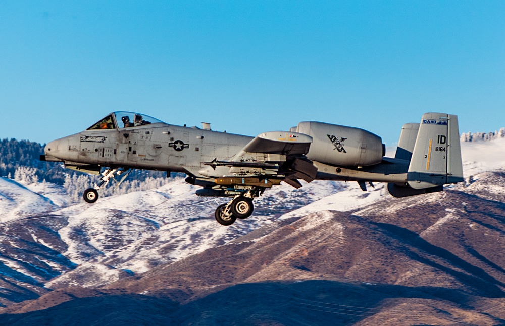Idaho's A-10 Warthogs landing