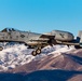Idaho's A-10 Warthogs landing