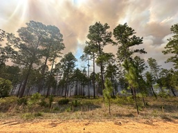 Fort Stewart showcases prescribed burn program for visiting IMCOM forestry professionals