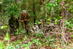 Multi-Capable Wingmen