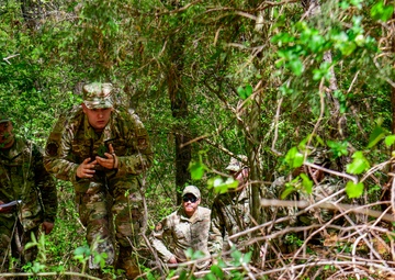 Multi-Capable Wingmen