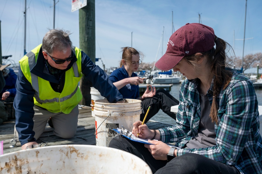 JBAB releases mussels to clean Potomac, Anacostia Rivers