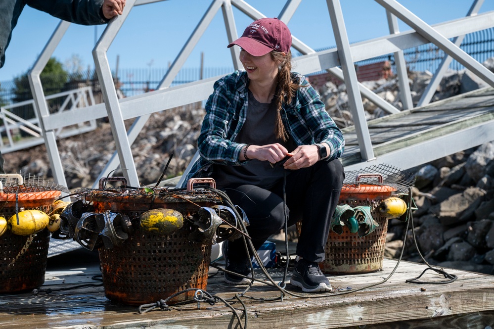 JBAB releases mussels to clean Potomac, Anacostia Rivers