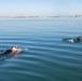 USS Essex Sailors Conduct SAR Training