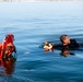 USS Essex Sailors Conduct SAR Training