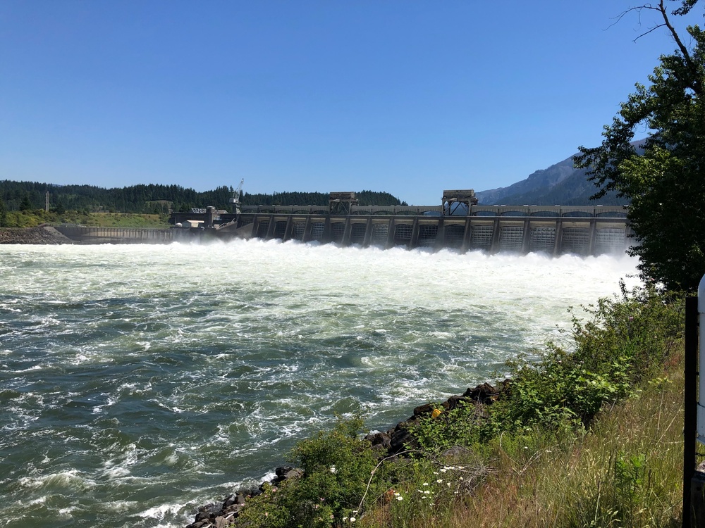 Bonneville Dam spring spill