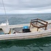 Coast Guard interdicts lancha crew, seizes 1000 pounds of shark off Texas coast
