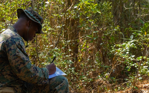 Light Tactical Family Crew Maneuver Course 23-2