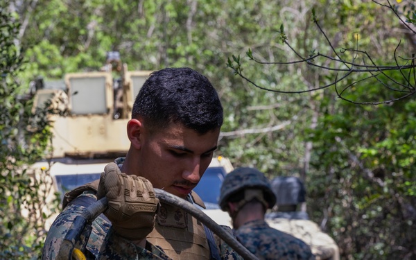 Light Tactical Family Crew Maneuver Course 23-2